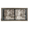 Vista estereoscopica cristal - Phot du Prof. H.Fol. Geneve