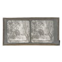 Vista estereoscopica cristal - Phot du Prof. H.Fol. Geneve