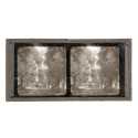 Vista estereoscopica cristal - Phot du Prof. H.Fol. Geneve