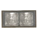 Vista estereoscopica cristal - Phot du Prof. H.Fol. Geneve