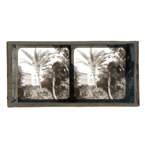 Vista estereoscopica cristal - Phot du Prof. H.Fol. Geneve