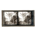 Vista estereoscopica cristal - Phot du Prof. H.Fol. Geneve