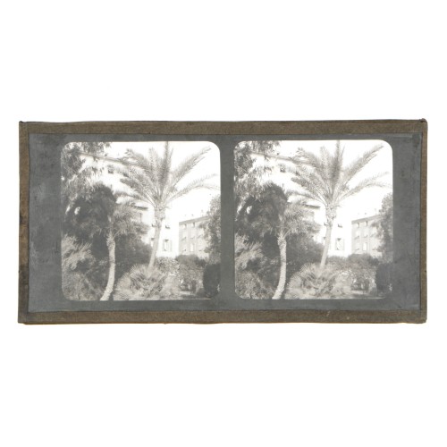 Vista estereoscopica cristal - Phot du Prof. H.Fol. Geneve