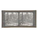 Vista estereoscopica cristal - Phot du Prof. H.Fol. Geneve
