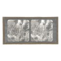 Vista estereoscopica cristal - Phot du Prof. H.Fol. Geneve