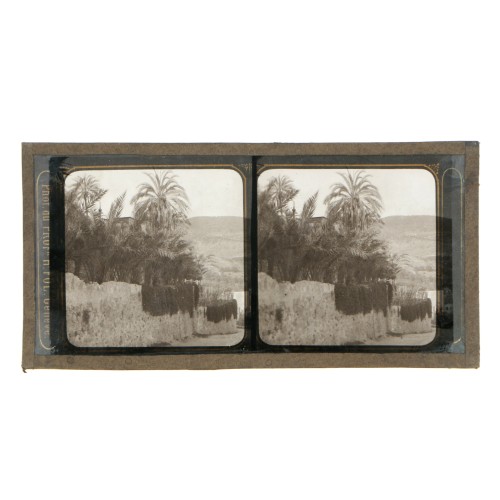 Vista estereoscopica cristal - Phot du Prof. H.Fol. Geneve