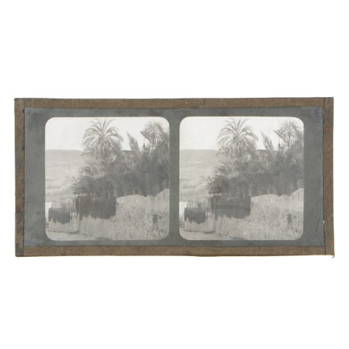 Vista estereoscopica cristal - Phot du Prof. H.Fol. Geneve