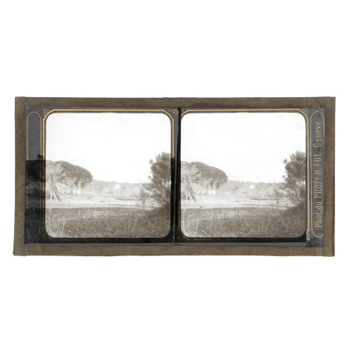 Vista estereoscopica cristal - Phot du Prof. H.Fol. Geneve