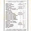 REVISTA: El palacio de la ilusión