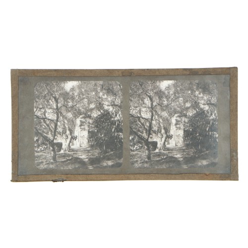 Vista estereoscopica cristal - Phot du Prof. H.Fol. Geneve
