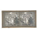 Vista estereoscopica cristal - Phot du Prof. H.Fol. Geneve