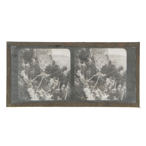 Vista estereoscopica cristal - Phot du Prof. H.Fol. Geneve