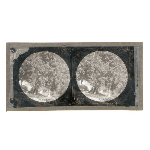 Vista estereoscopica cristal - Phot du Prof. H.Fol. Geneve