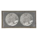 Vista estereoscopica cristal - Phot du Prof. H.Fol. Geneve