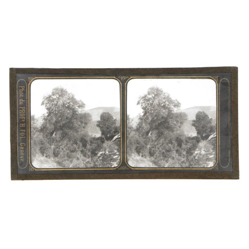 Vista estereoscopica cristal - Phot du Prof. H.Fol. Geneve