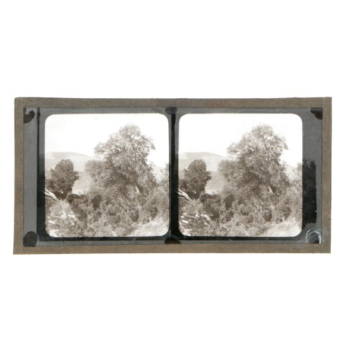 Vista estereoscopica cristal - Phot du Prof. H.Fol. Geneve