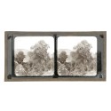 Vista estereoscopica cristal - Phot du Prof. H.Fol. Geneve