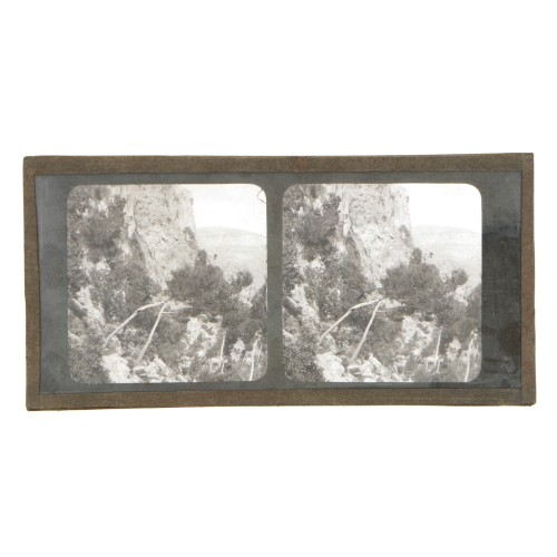 Vista estereoscopica cristal - Phot du Prof. H.Fol. Geneve