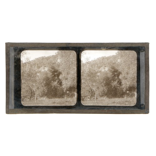 Vista estereoscopica cristal - Phot du Prof. H.Fol. Geneve