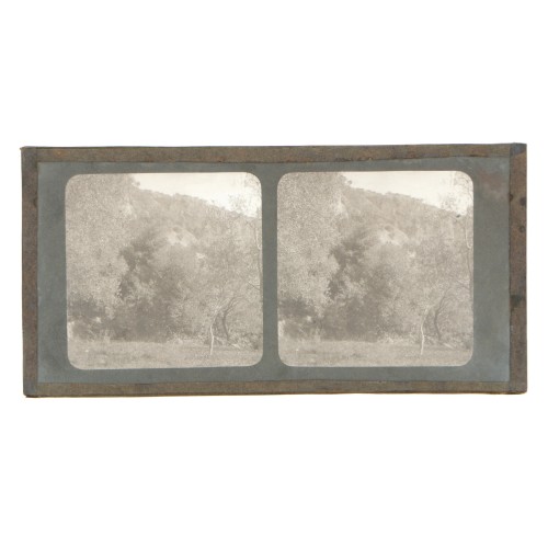 Vista estereoscopica cristal - Phot du Prof. H.Fol. Geneve