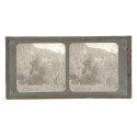 Vista estereoscopica cristal - Phot du Prof. H.Fol. Geneve