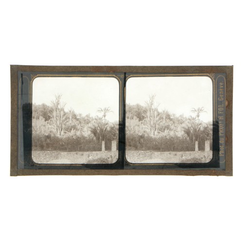 Vista estereoscopica cristal - Phot du Prof. H.Fol. Geneve