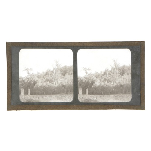 Vista estereoscopica cristal - Phot du Prof. H.Fol. Geneve