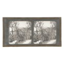 Vista estereoscopica cristal - Phot du Prof. H.Fol. Geneve