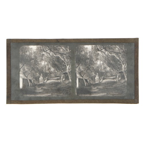 Vista estereoscopica cristal - Phot du Prof. H.Fol. Geneve