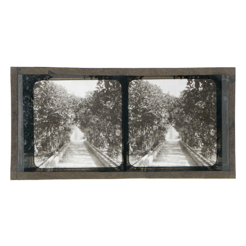 Vista estereoscopica cristal - Phot du Prof. H.Fol. Geneve