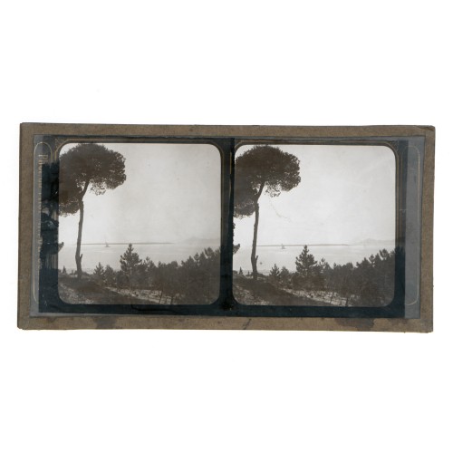 Vista estereoscopica cristal - Phot du Prof. H.Fol. Geneve