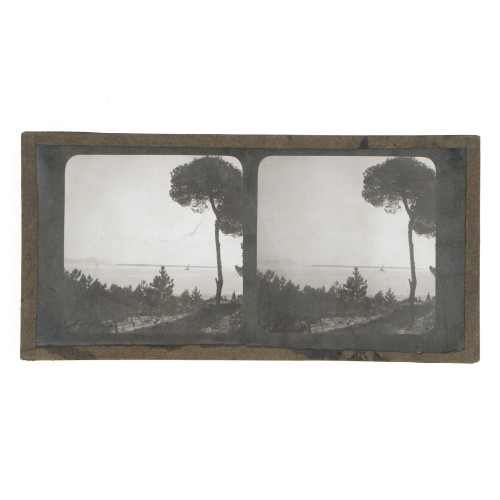 Vista estereoscopica cristal - Phot du Prof. H.Fol. Geneve