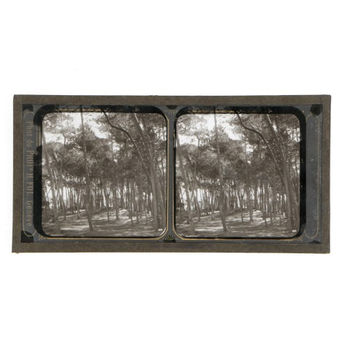 Vista estereoscopica cristal - Phot du Prof. H.Fol. Geneve
