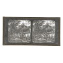 Vista estereoscopica cristal - Phot du Prof. H.Fol. Geneve