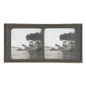Vista estereoscopica cristal - Phot du Prof. H.Fol. Geneve