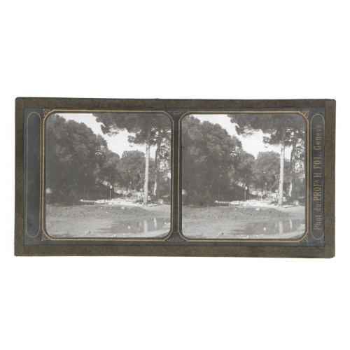 Vista estereoscopica cristal - Phot du Prof. H.Fol. Geneve