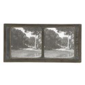 Vista estereoscopica cristal - Phot du Prof. H.Fol. Geneve
