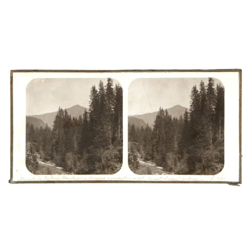 Vista estereoscopica cristal - H.Fol. - Mont Corbeau