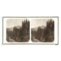 Vista estereoscopica cristal - H.Fol. - Mont Corbeau