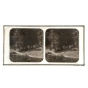 Vista estereoscopica cristal - H.Fol. - Blanche Fontaine