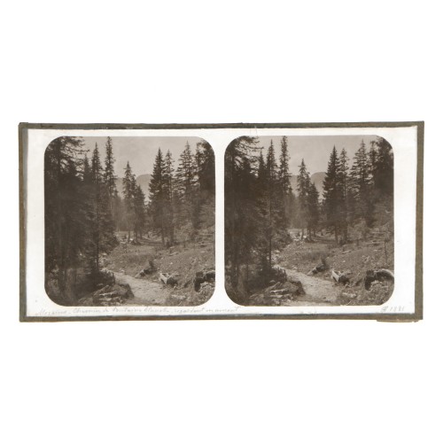 Vista estereoscopica cristal - H.Fol. - Morgins