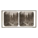 Vista estereoscopica cristal - H.Fol. - Morgins