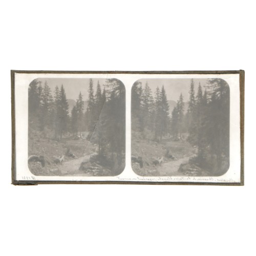 Vista estereoscopica cristal - H.Fol. - Morgins