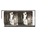 Vista estereoscopica cristal - Bacchante, par Tudolini, Rome