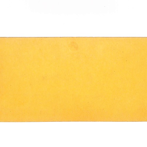 Sección Polymnie, par Albertoni.
