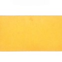 Sección Polymnie, par Albertoni.