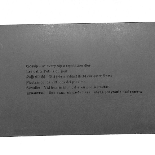 Sección Gossip — At every Sip a Reputation Dies.