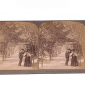 Sección Lover’s Lane, Central Park