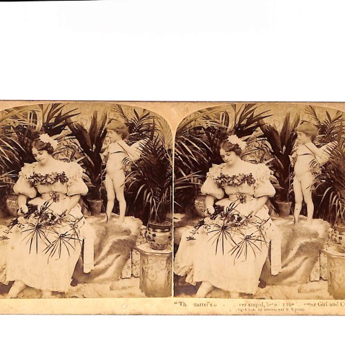 Vista estéreo Summer Girl and Cupid – escena alegórica de estudio – Strohmeyer & Wyman