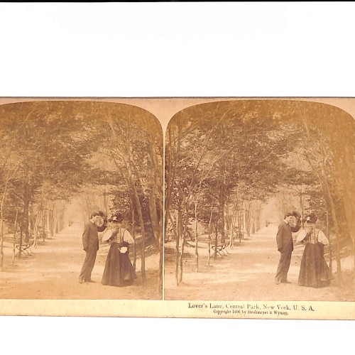 Vista estereoscópica “Lover’s Lane, Central Park, New York, U.S.A.”